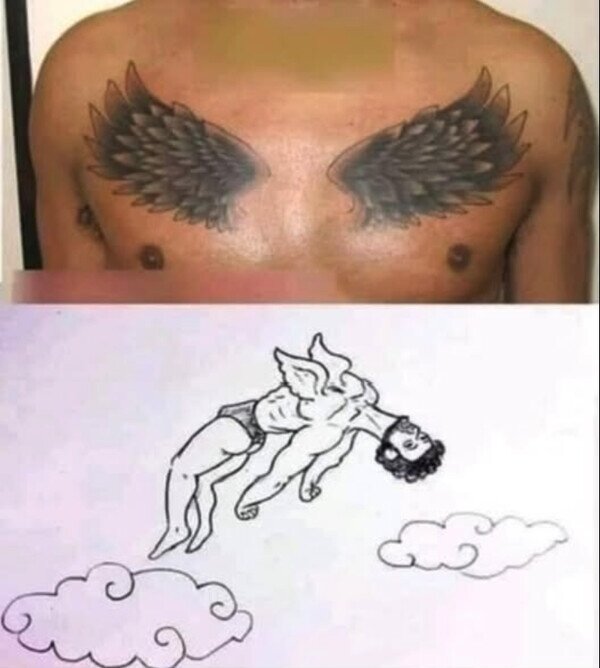 Meme_otros - ¿Qué sentido tienen unas alas ahí?