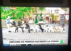 Enlace a El récord importante del día