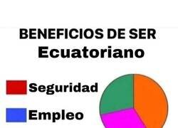 Enlace a Gráfico de beneficios