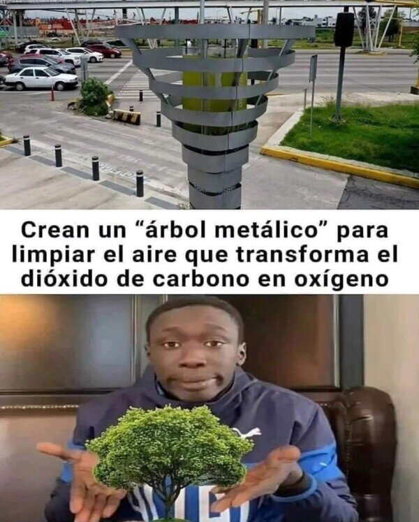 árbol,metálico,wtf,cuidades