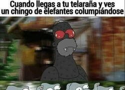 Enlace a Ya lo decía la canción