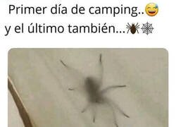 Enlace a Será divertido acampar, dijeron...