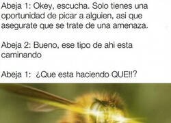 Enlace a Eligiendo bien a su objetivo