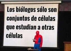 Enlace a Nunca lo había pensado así