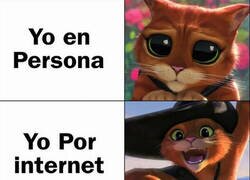 Enlace a Lo que esconde un tímido