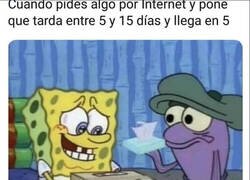 Enlace a Pedidos que emocionan