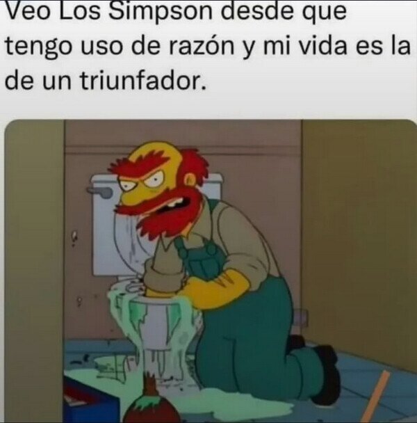 Meme_otros - Así acabé viendo Los Simpson