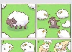 Enlace a Se metió en el rebaño equivocado