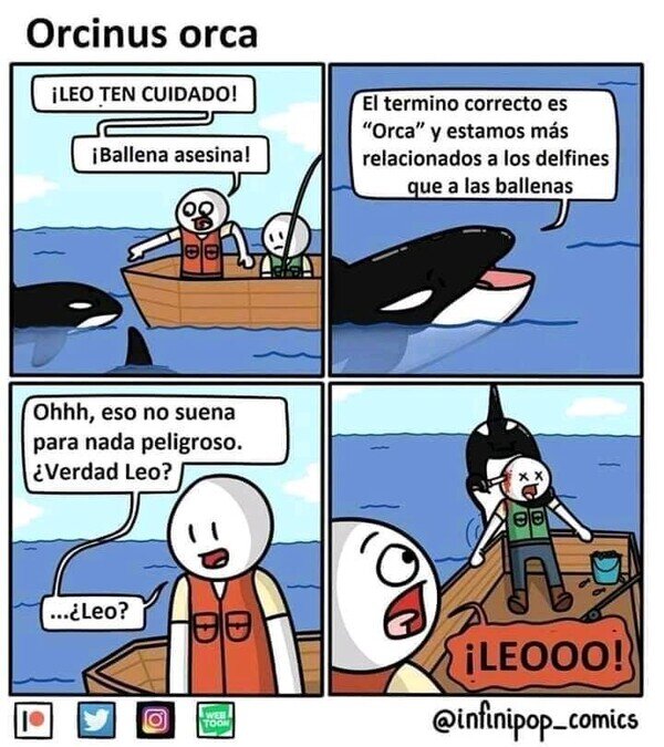 Meme_otros - Orcas asesinas