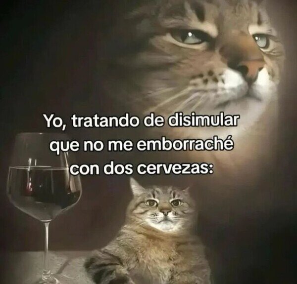 Meme_otros - El buen disimulo