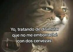 Enlace a El buen disimulo
