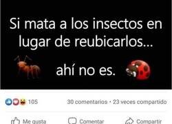 Enlace a Reubicando bichos