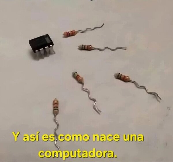 Otros - El milagro de la vida