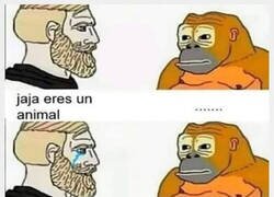 Enlace a La discusión está igualada