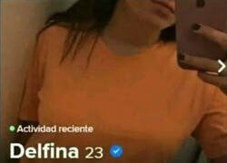 Enlace a Delfina es la indicada