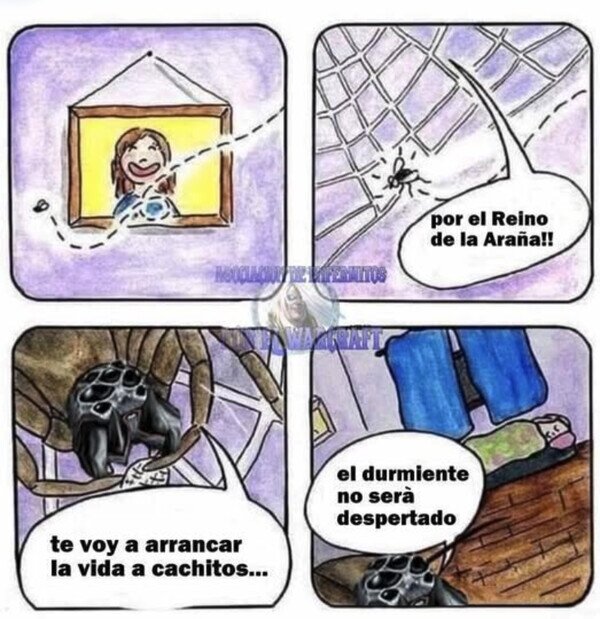 Meme_otros - El guardián de mi habitación