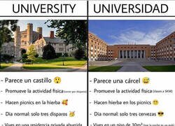 Enlace a Diferencias universitarias