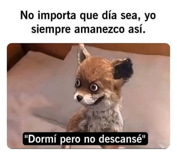 Otros - Yo cualquier día normal