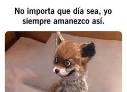Enlace a Yo cualquier día normal