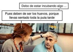 Enlace a Incubación