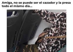 Enlace a ¿De qué va, señora?