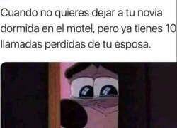 Enlace a Momento tierno