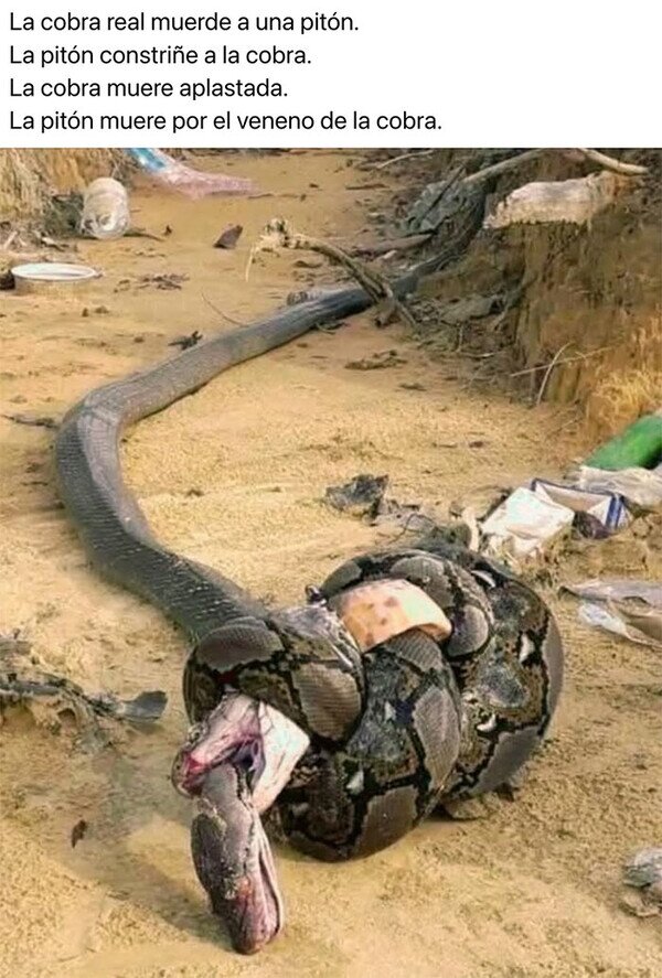 Meme_otros - Maravillas de la naturaleza