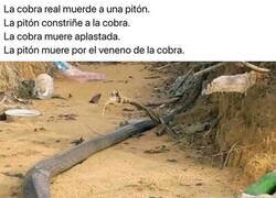 Enlace a Maravillas de la naturaleza