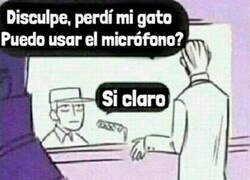 Enlace a Se me perdió el Misifú