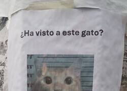Enlace a El cartel importante del día