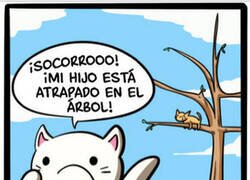 Enlace a ¿Quién rescata a los rescatistas?