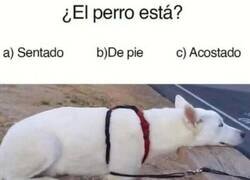 Enlace a Abro debate