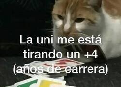 Enlace a Me está ganando la partida