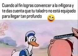Enlace a ¿Y ahora qué?