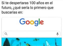 Enlace a Si es que Google sigue existiendo...