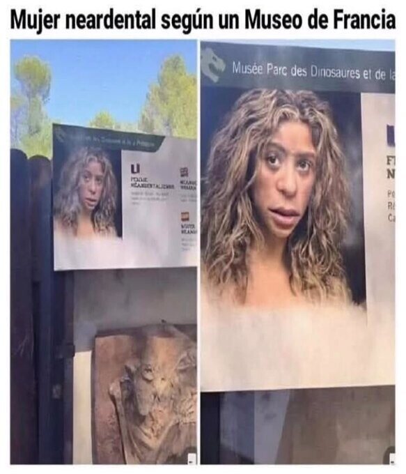 Meme_otros - ¿Shakira? ¿eres tú?