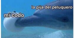 Enlace a Contacto incómodo