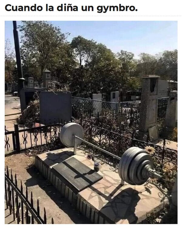 Meme_otros - Un gymbro que ya no levanta