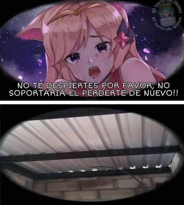 Meme_otros - Solo era un sueño, una vez más