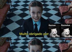 Enlace a Puestos a desextinguir...