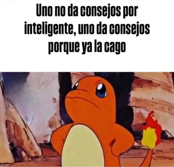 Otros - Mi experiencia habla por mí