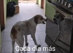 Enlace a No aguanto ni a mi reflejo