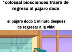 Enlace a Haría por volverse a extinguir