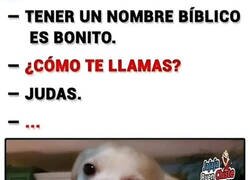 Enlace a Casi siempre es bonito