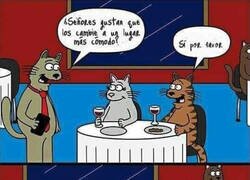 Enlace a Mucho mejor