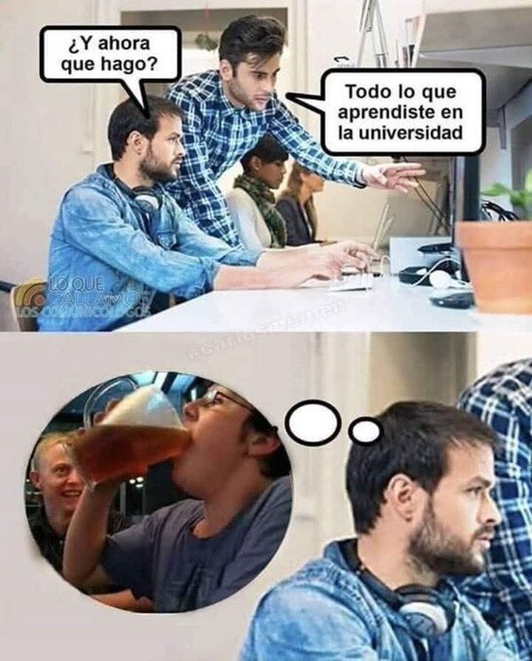 trabajo,aprender,universidad,beber
