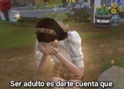 Enlace a Ahora les comprendo