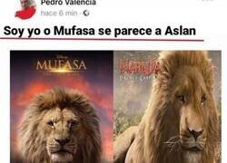 Enlace a Se parecen bastante