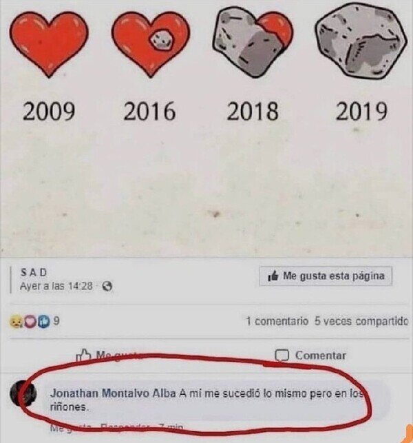 corazón,piedra,riñones