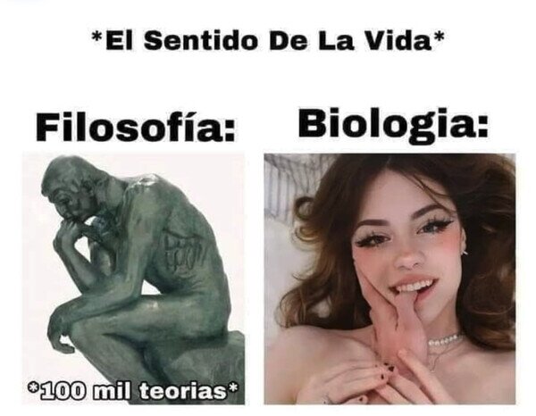 Meme_otros - El sentido de la vida